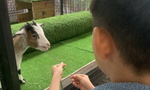 KL　マレーシア　子連れ　おでかけ